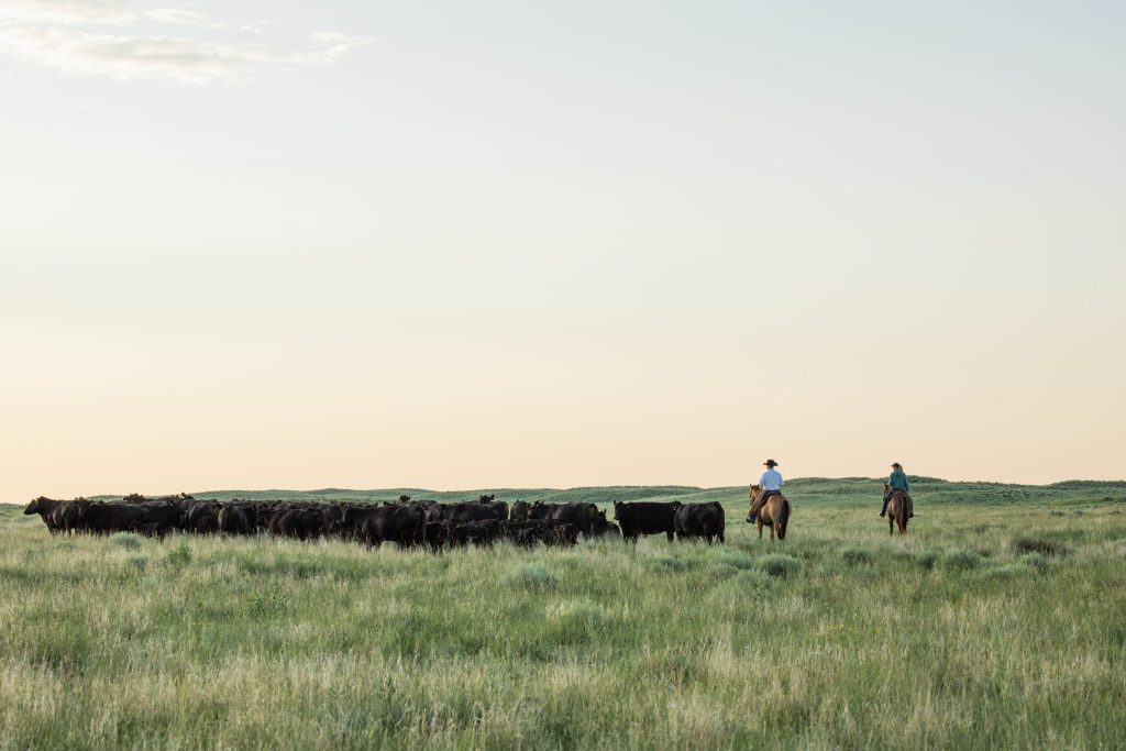 If we don't do the right thing with the grazing management plan, if we don't take care of the cattle properly and if we fail to bring together our customer base, then we're not going to be in business," Rusty says. (Photo courtesy of Certified Angus Beef.)