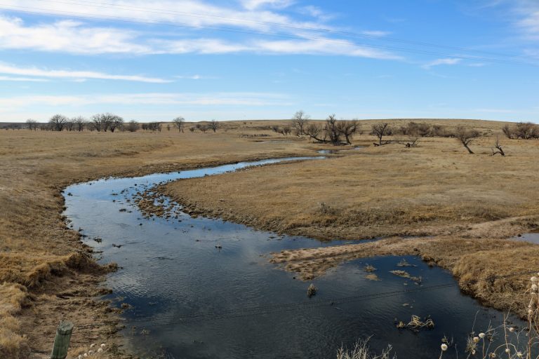 (Photo: Colorado State University)