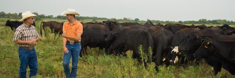 (Photo: USDA Natural Resources Conservation Service)