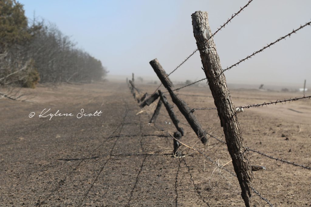 A five wire barbed wire fence eaten up by fire at the Scott Farm near Kingsdown, Kansas, March 7. A wildfire devestated the northern Clark County farmstead March 6. (Journal photo by Kylene Scott.)