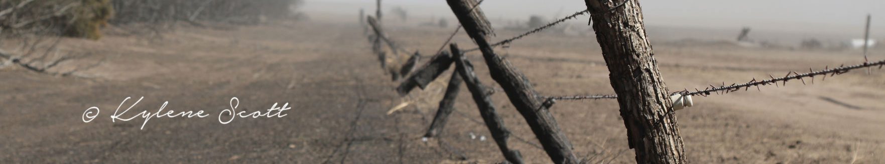 A five wire barbed wire fence eaten up by fire at the Scott Farm near Kingsdown, Kansas, March 7. A wildfire devestated the northern Clark County farmstead March 6. (Journal photo by Kylene Scott.)