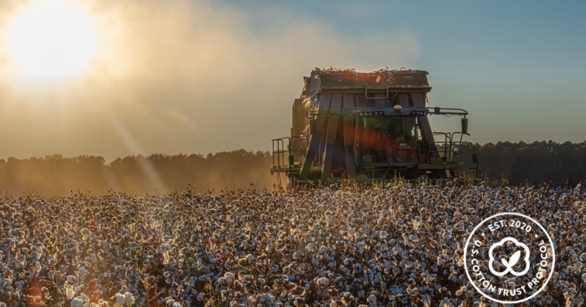 Cotton field being harvested. (Photo courtesy of U.S. Cotton Trust Protocol.)