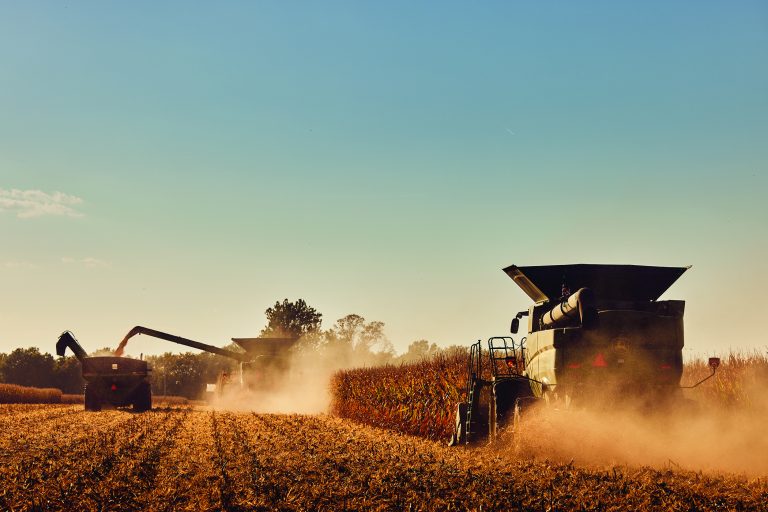 Fall harvest scene. (Photo courtesy of DEKALB Asgrow.)