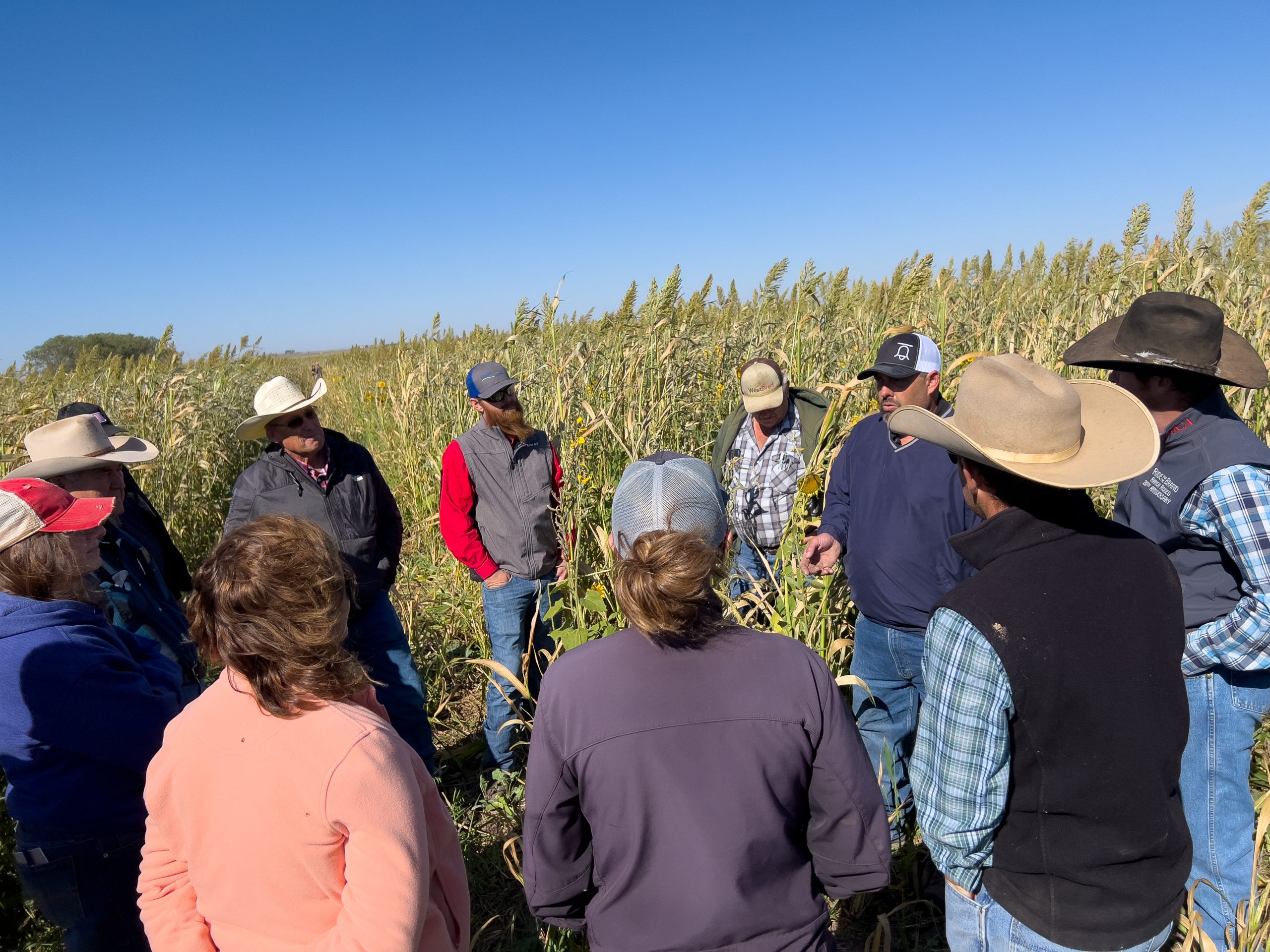 Attendees at the No-Till on the Plains Feikert Farms Field Day listen to Lance Feikert discuss the cover crop on his irrigated circle near Bucklin, Kansas. (Journal photo by Kylene Scott.)