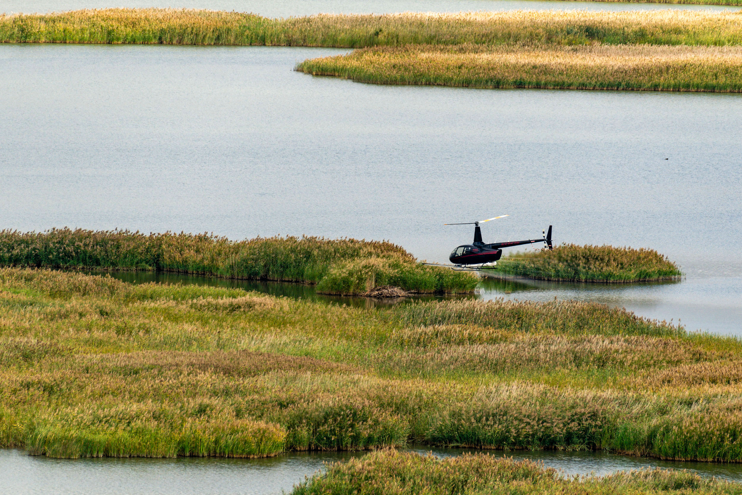 A contractor hired by the Nebraska Game and Parks Commission uses a helicopter to apply herbicide to phragmites, an invasive, noxious weed, at Niobrara Confluence Wildlife Management Area on the Missouri River near the village of Niobrara. Also known as common reed, phragmites is choking out native vegetation, reducing the amount of wildlife habitat available on the Missouri, Platte and other rivers, reservoirs and wetlands throughout the state. It is also an Aquatic Invasive Species. (Photo by Eric Fowler, for NEBRASKAland Magazine, Nebraska Game and Parks Commission.)