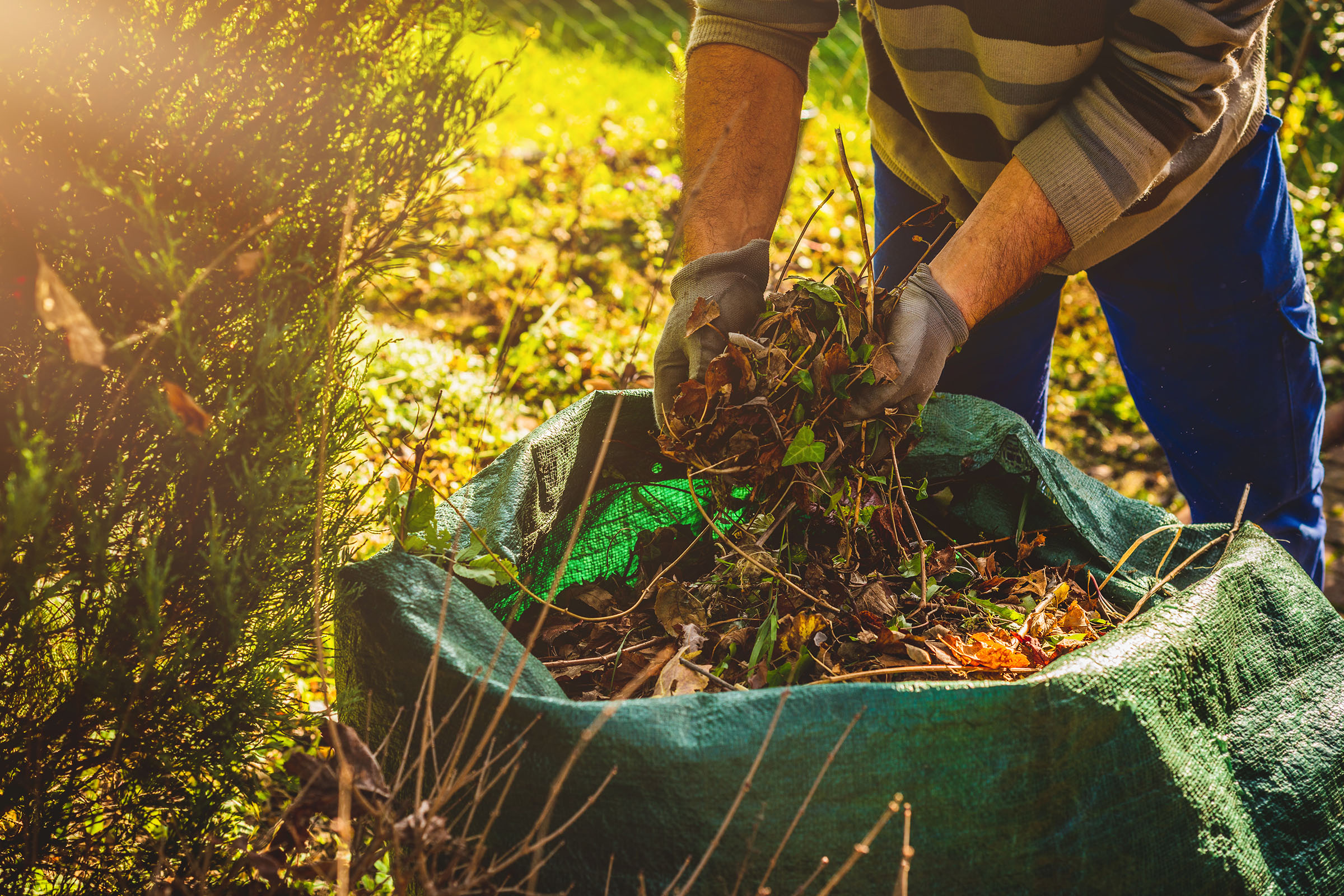 Cleaning up the garden in the fall gives gardeners a head start in the spring. (Photo by Shutterstock.)
