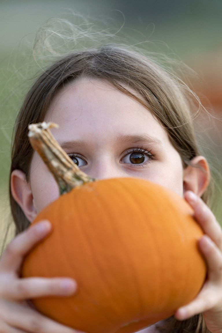 It may surprise you, but a pumpkin is in fact a fruit. (Texas A&M AgriLife photo by Laura McKenzie)