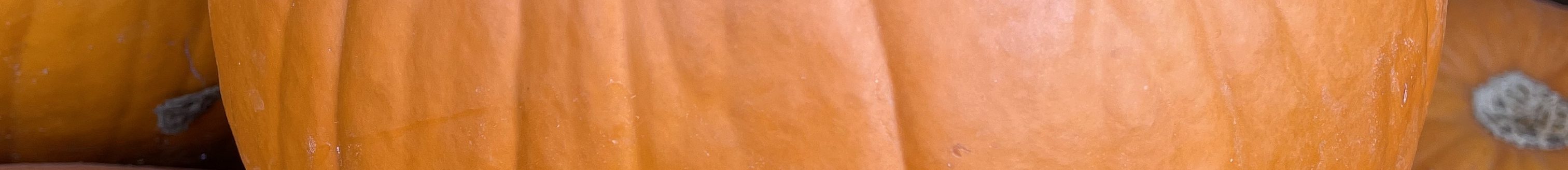 (Journal photo by Jennifer Theurer.)