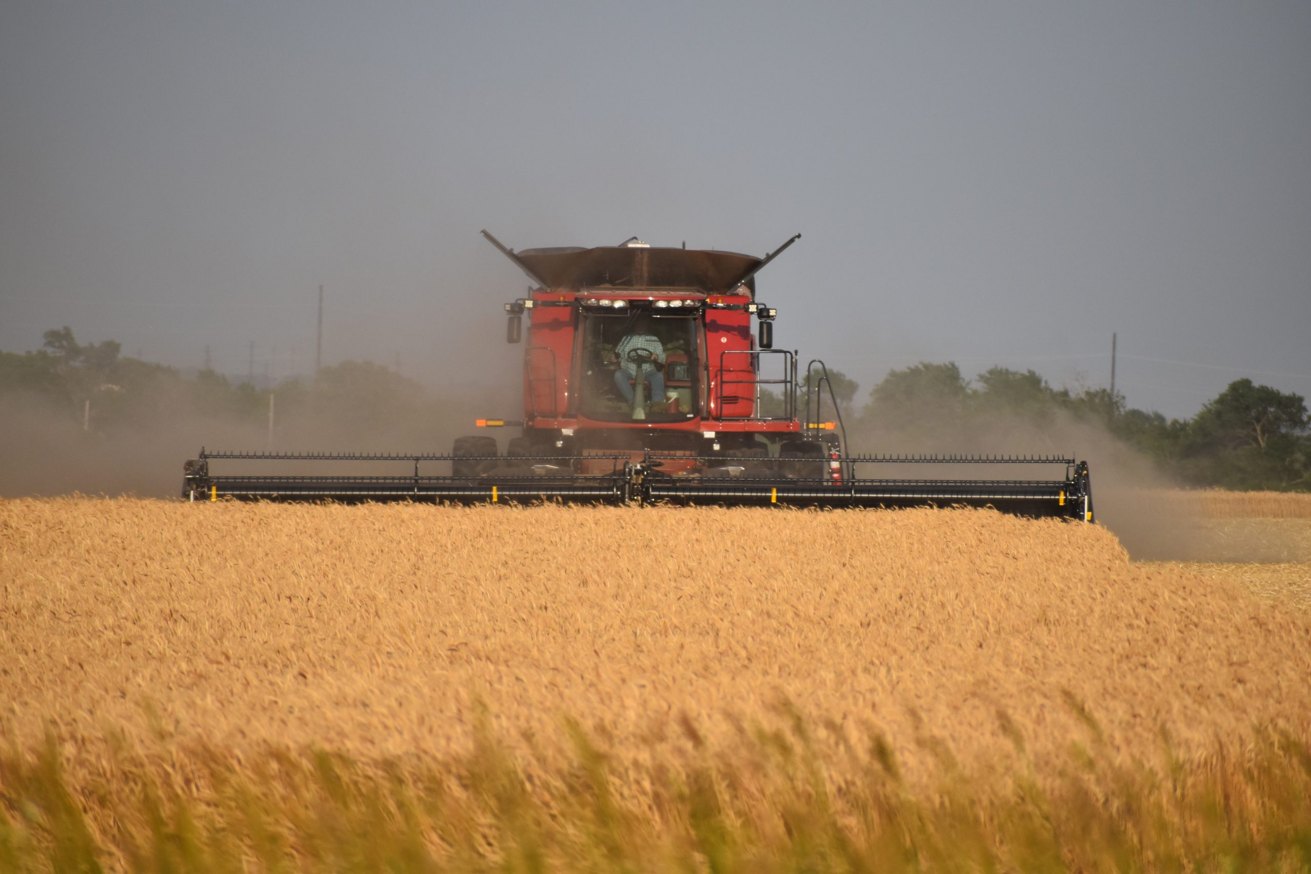 A combine motors through a wheat field a few years back southwest of Salina, Kansas. (Journal photo by Tim Unruh.)