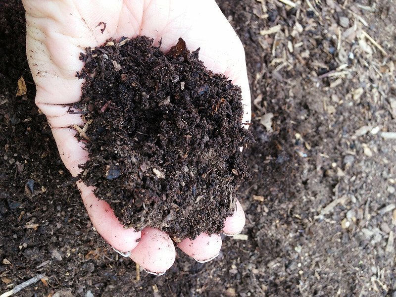 WELL IN HAND -- What fine compost looks like. (Division of Agriculture photo.)