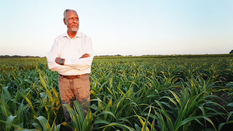 Gebisa Ejeta stands in a sorghum field at Purdue’s ACRE, the Agronomy Center for Research and Education. (Purdue University Agricultural Communications photo/Thomas Campbell)