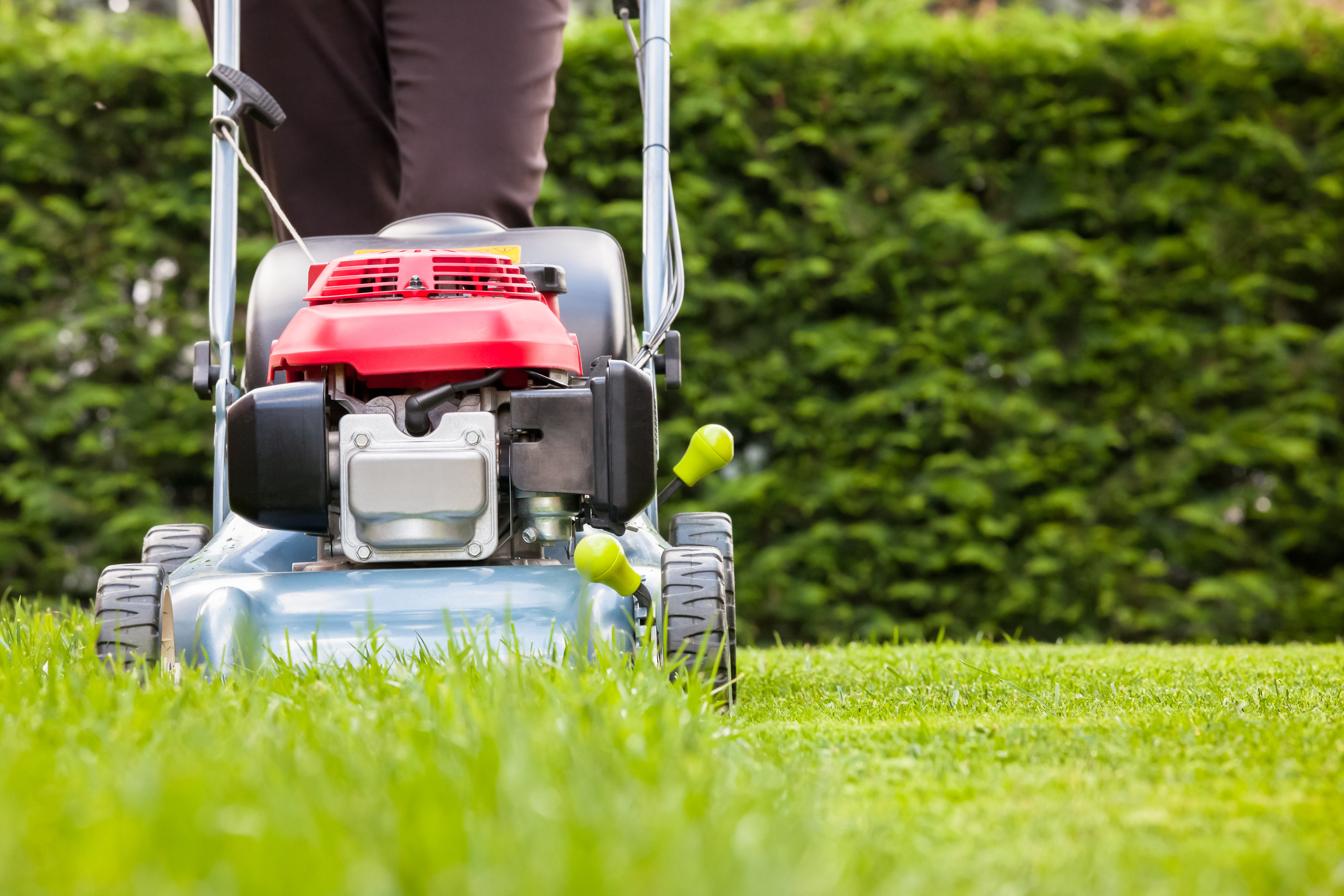 Mowing the grass (iStock - stoncelli)