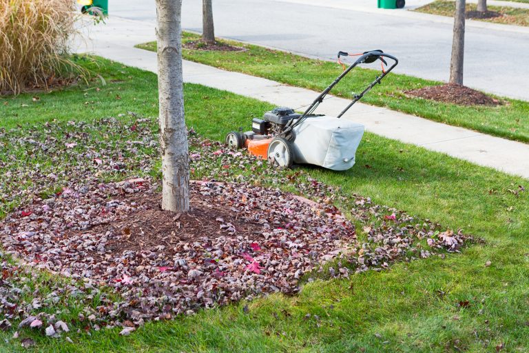 Neatening up the lawn in autumn or fall using a lawnmower to cut and bag the grass and dead leaves under trees alongside the road (Photo: iStock - Ozgur Coskun)
