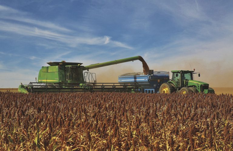 Sorghum harvest (Photo: Linda Minns - Goodwell, Oklahoma)