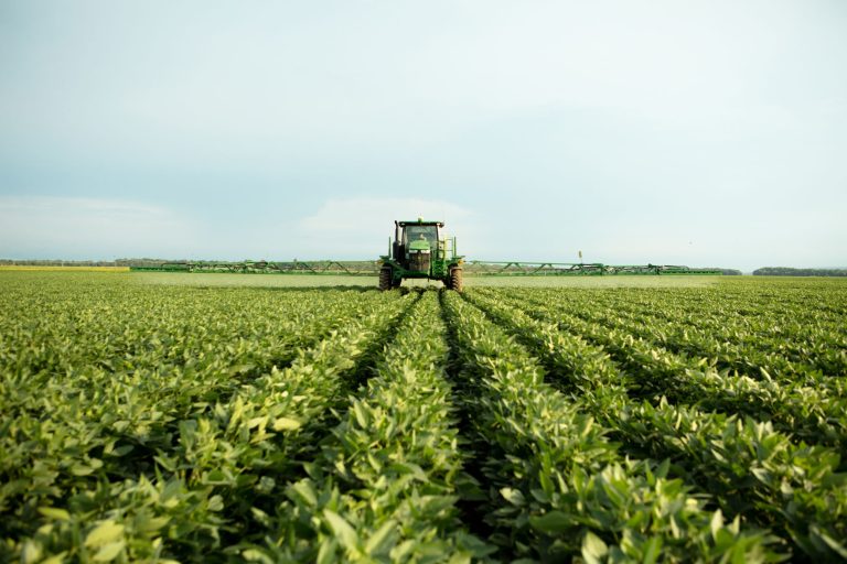 Soybean field (Photo courtesy of United Soybean Board)