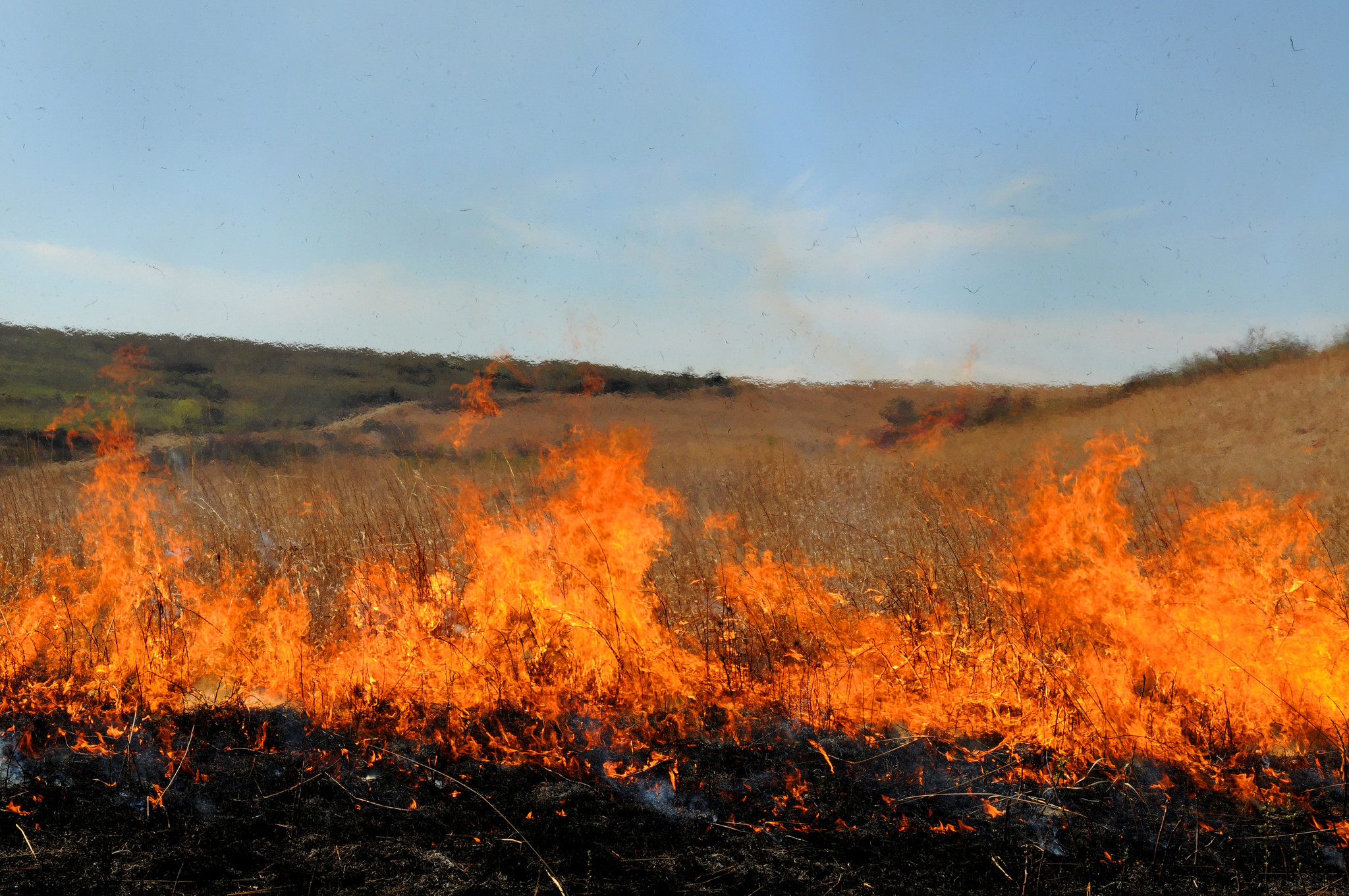 Konza Prairie Fires (Photo: K-State Research and Extension)