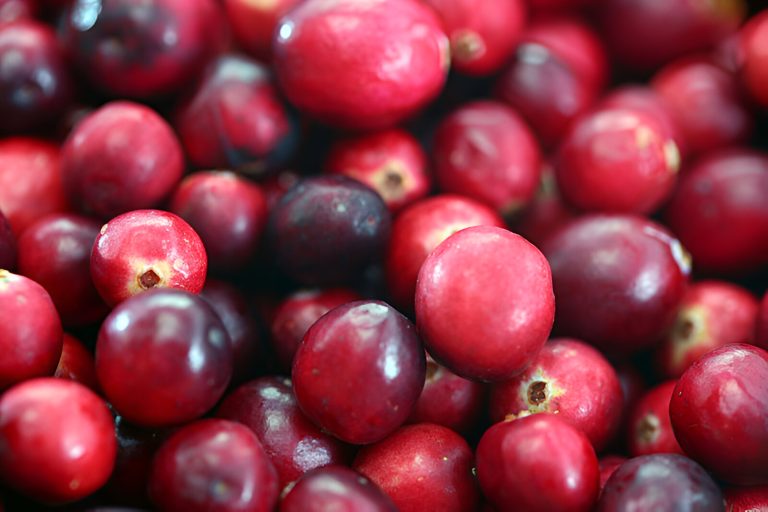 Cranberries (Courtesy photo)
