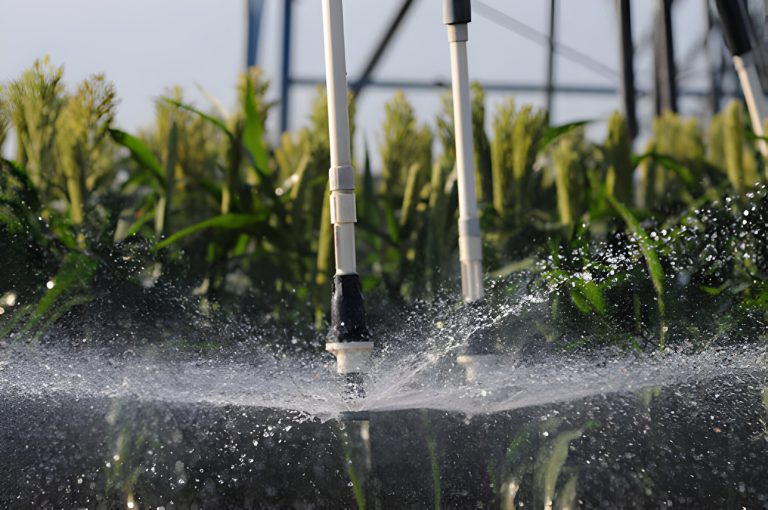 Kansas State University researchers continue "extensive" water research to help farmers adjust to changing climate and different weather patterns, says the director of the Kansas Center for Agricultural Resources and the Environment. (Photo courtesy of K-State Research and Extension.)