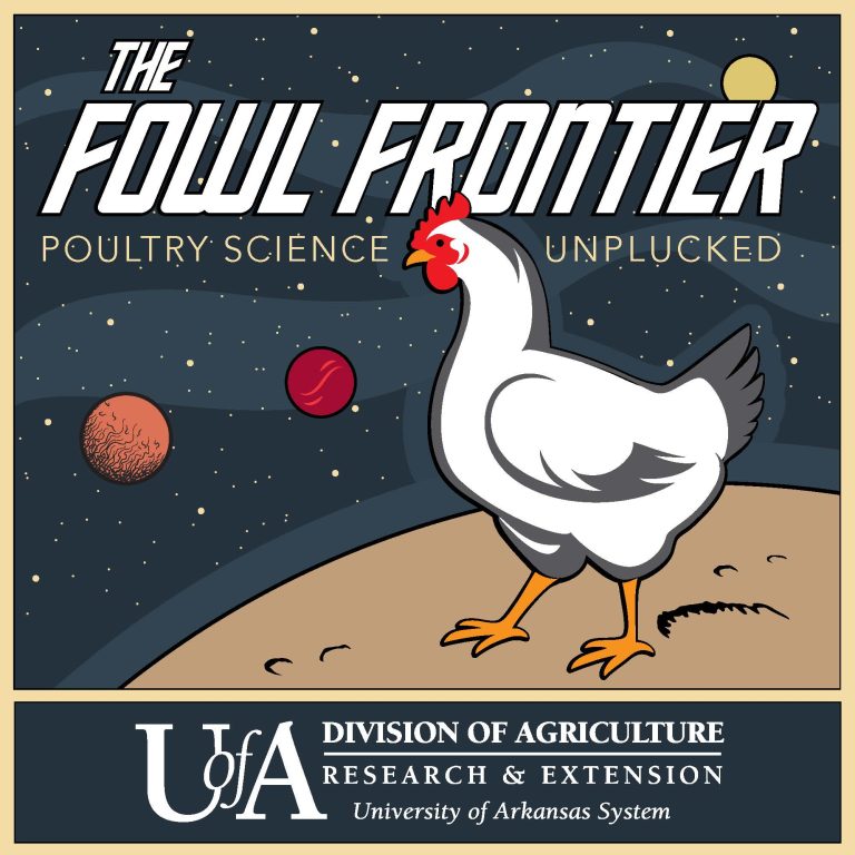 The first episode of The Fowl Frontier: Poultry Science Unplucked focuses on biosecurity in light of a recent case of Highly Pathogenic Avian Influenza confirmed in Arkansas. (Division of Agriculture art.)
