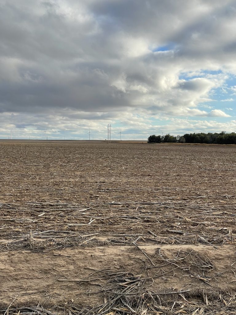 Bare farm ground. (Journal photo by Jennifer Theurer.)