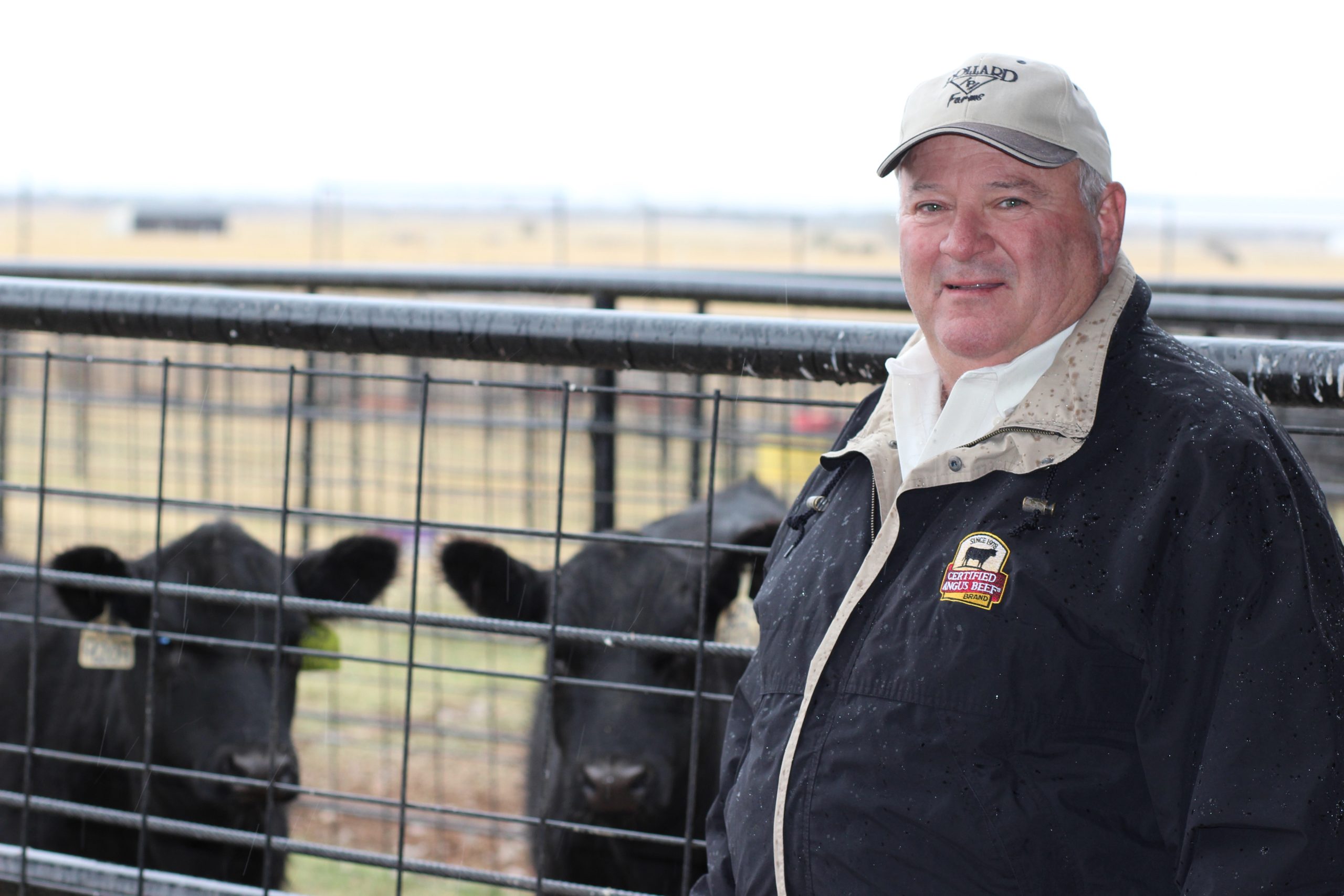 Dr. Barry Pollard of Waukomis, Oklahoma, deals in high-quality Angus seed stock cattle. (Journal photo by Lacey Vilhauer.)