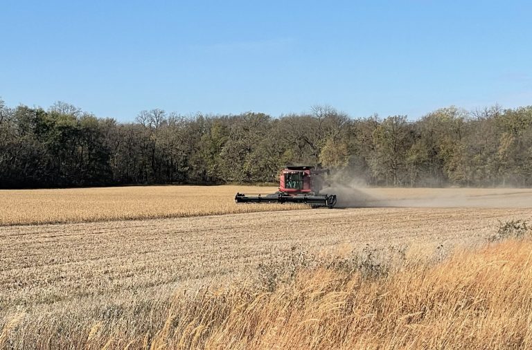 A combine harvesting soybeans. (Journal photo by Jennifer Theurer.)