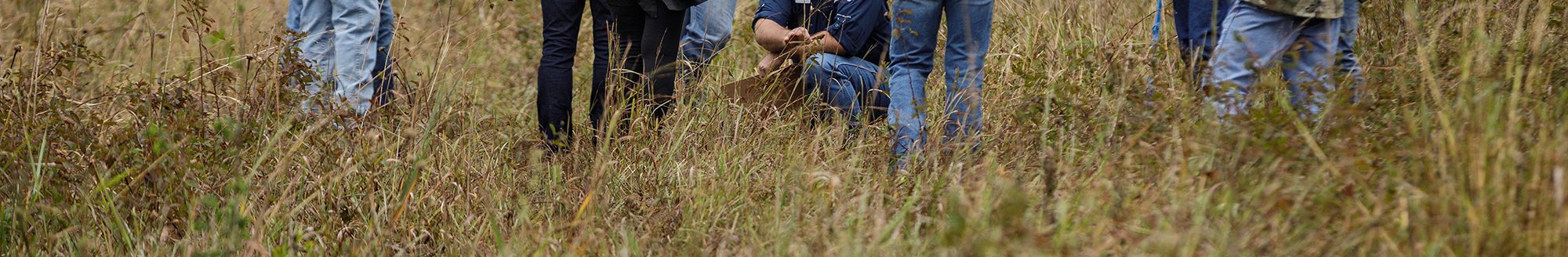 Farmers and ranchers at the first Essentials of Regenerative Grazing course evaluate forage in a pasture at Noble Research Institute, Ardmore, Oklahoma. (Photo courtesy of Noble Research Institute/Rob Mattson.)