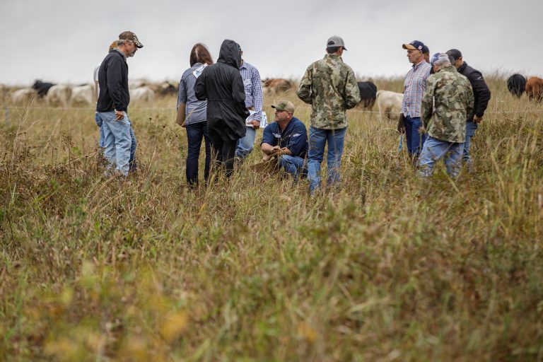 Farmers and ranchers at the first Essentials of Regenerative Grazing course evaluate forage in a pasture at Noble Research Institute, Ardmore, Oklahoma. (Photo courtesy of Noble Research Institute/Rob Mattson.)
