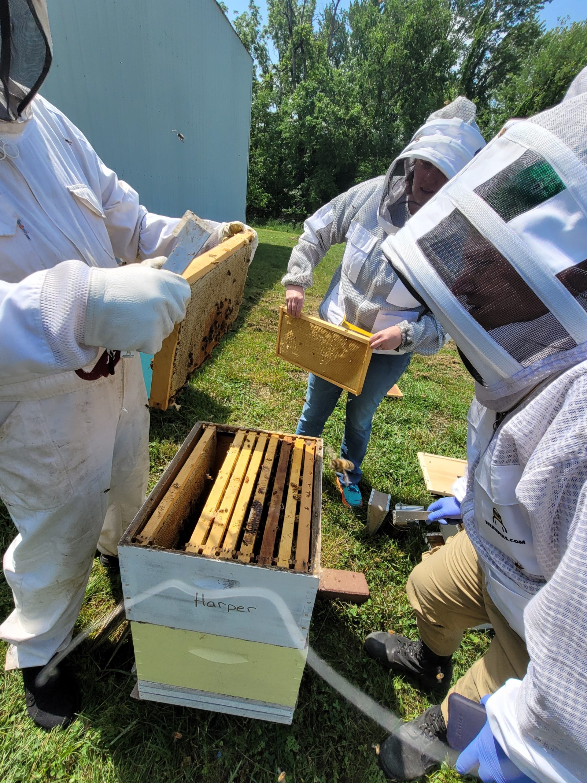 University of Missouri Extension offers Heroes to Hives for veterans who want to learn about beekeeping. MU Extension offers three training sites in the state, with a fourth to be added in 2024. (Photo courtesy of Eric Work.)