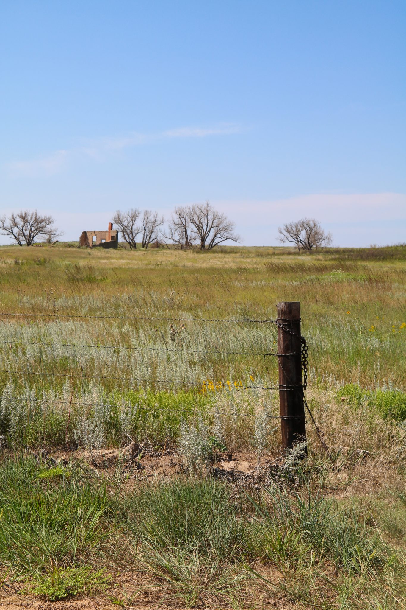 Help On Pesky Grass Bugs Available In Wyoming - High Plains Journal