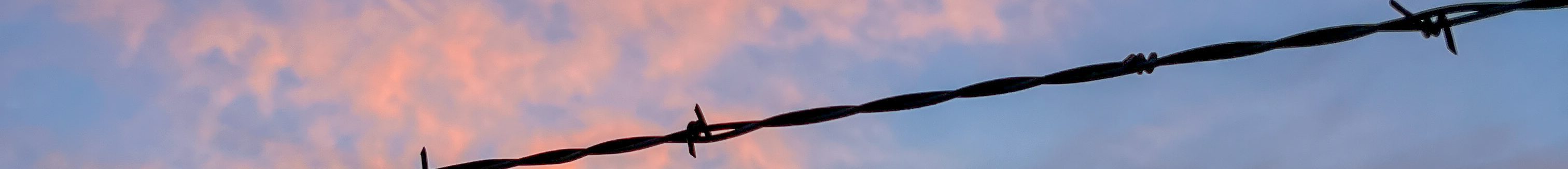Daylight saving time ends Nov. 5. Field Editor Kylene Scott hates the time change. She explains why in her blog this week.