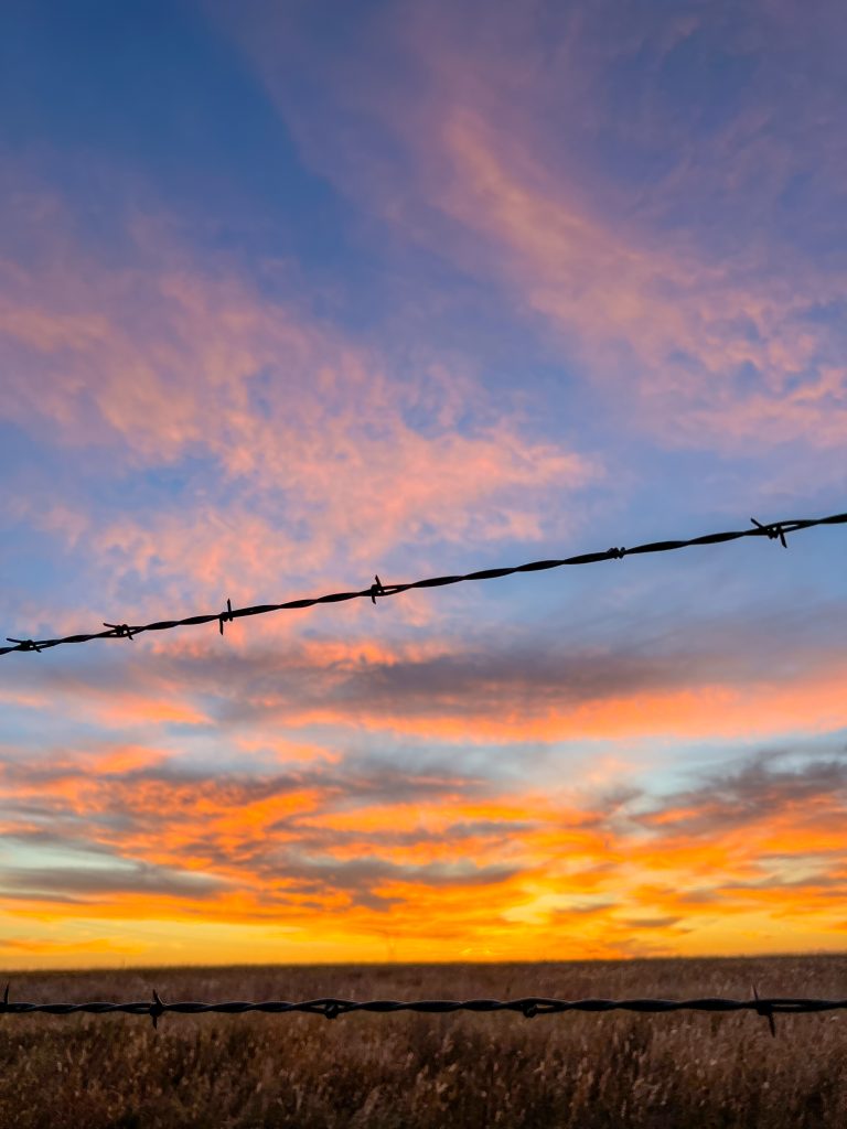 Daylight saving time ends Nov. 5. Field Editor Kylene Scott hates the time change. She explains why in her blog this week.