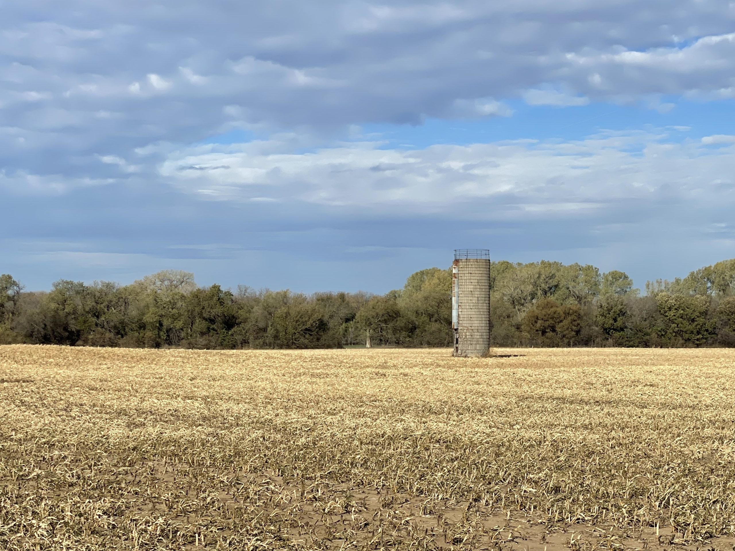 Silo in a field in daylight. (Journal photo by Jennifer Theurer.)