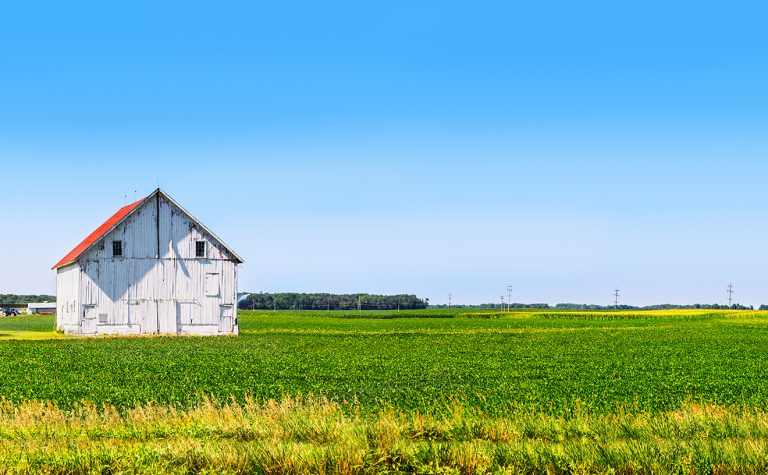 Panoramic farmland with white barn. (Courtesy photo.)