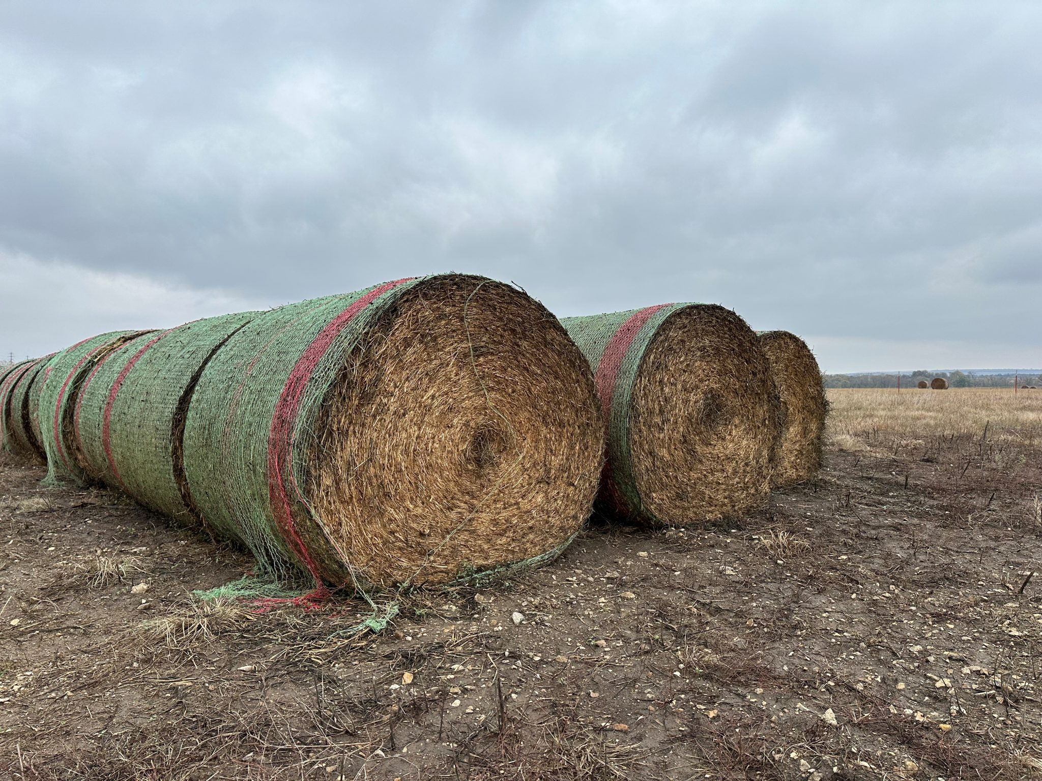 Hay prices steady despite low demand High Plains Journal