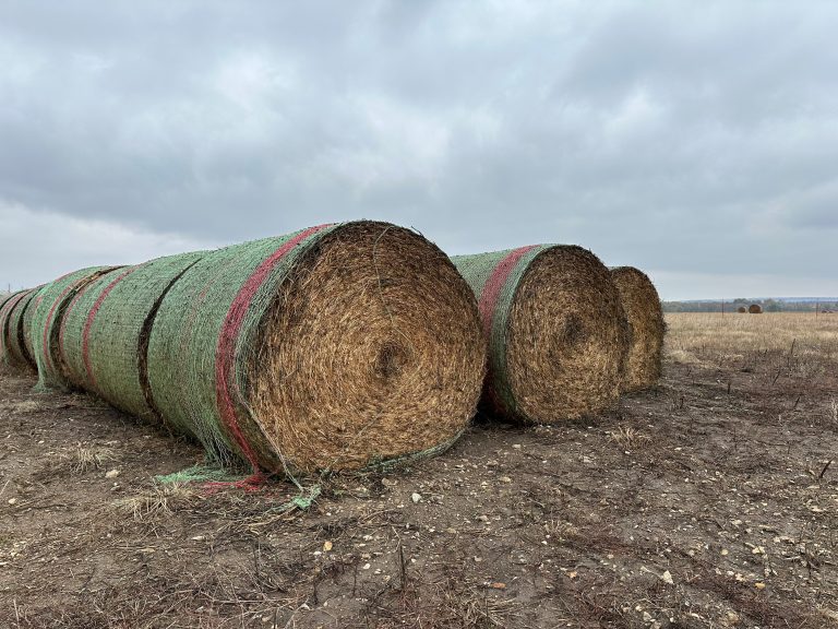 Hay (Photo: Purina)