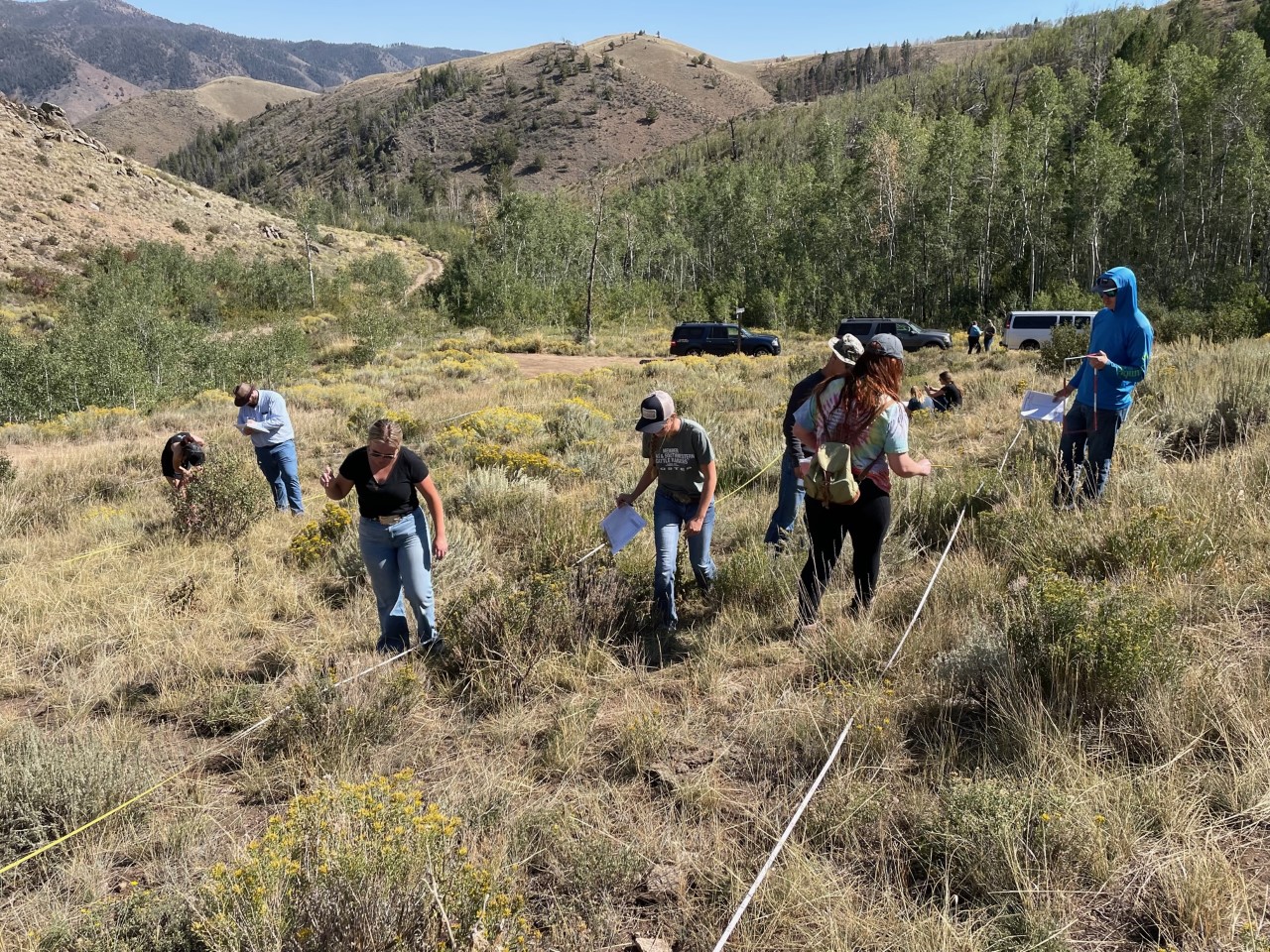Students in a rangeland ecosystem assessment and monitoring class collect samples for a field lab near Woods Landing, Wyoming. (Photo by Jeff Beck.)