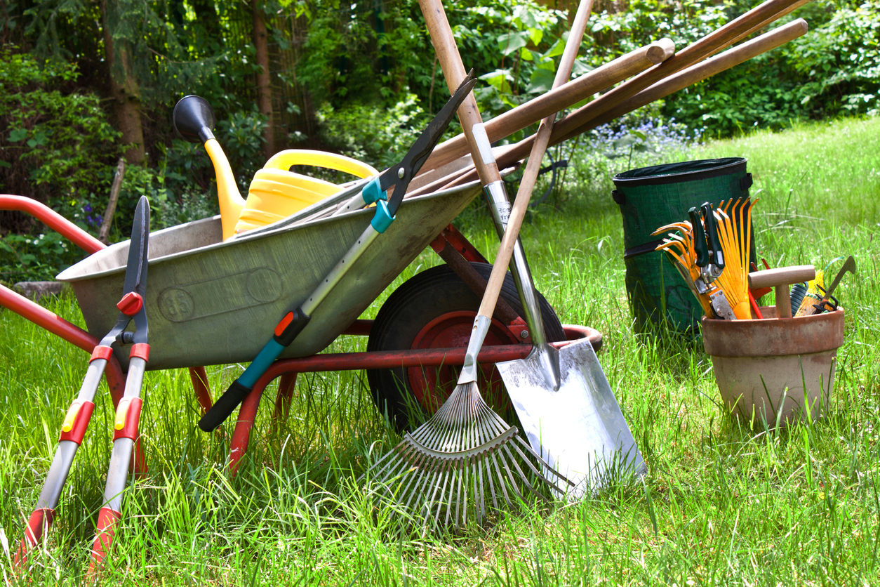 Various gardening tools in the garden (Photo: iStock - Santje09)