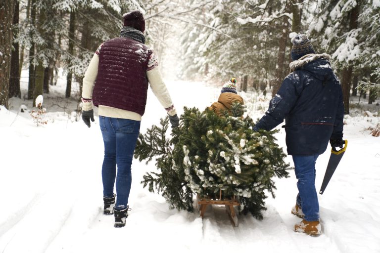 Family preparing for Christmas time (Photo: iStock - gpointstudio)