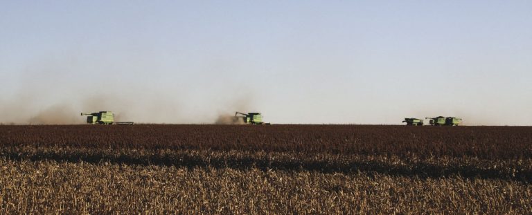Sorghum harvest over much of Kansas and surrounding states was late in the fall of 2014, but most had good yields. Damp conditions coupled with high humidity in some areas prevented the sorghum from drying down on time. (Journal photo by Kylene Scott.)