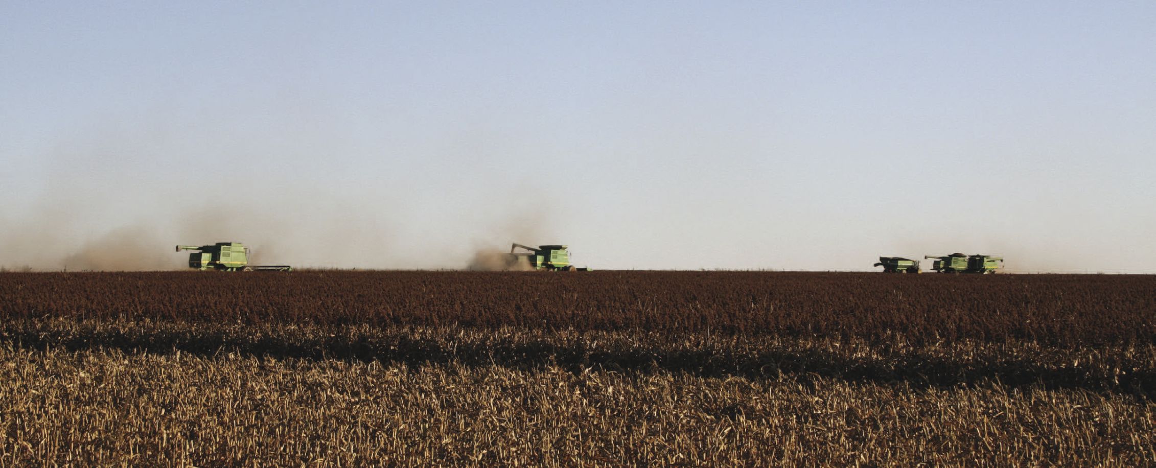 Sorghum harvest over much of Kansas and surrounding states was late in the fall of 2014, but most had good yields. Damp conditions coupled with high humidity in some areas prevented the sorghum from drying down on time. (Journal photo by Kylene Scott.)