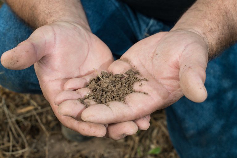 Photo courtesy of Soil Health Partnership.