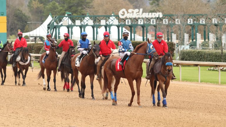 Horses in the post parade at Oaklawn Park. (Image courtesy Mary Hightower.)