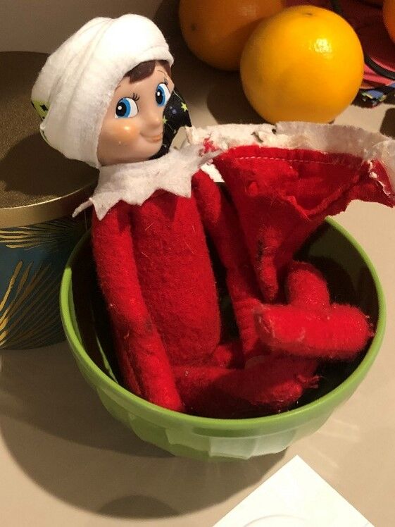 Elf in a bowl (Photo: Alissa Weece)