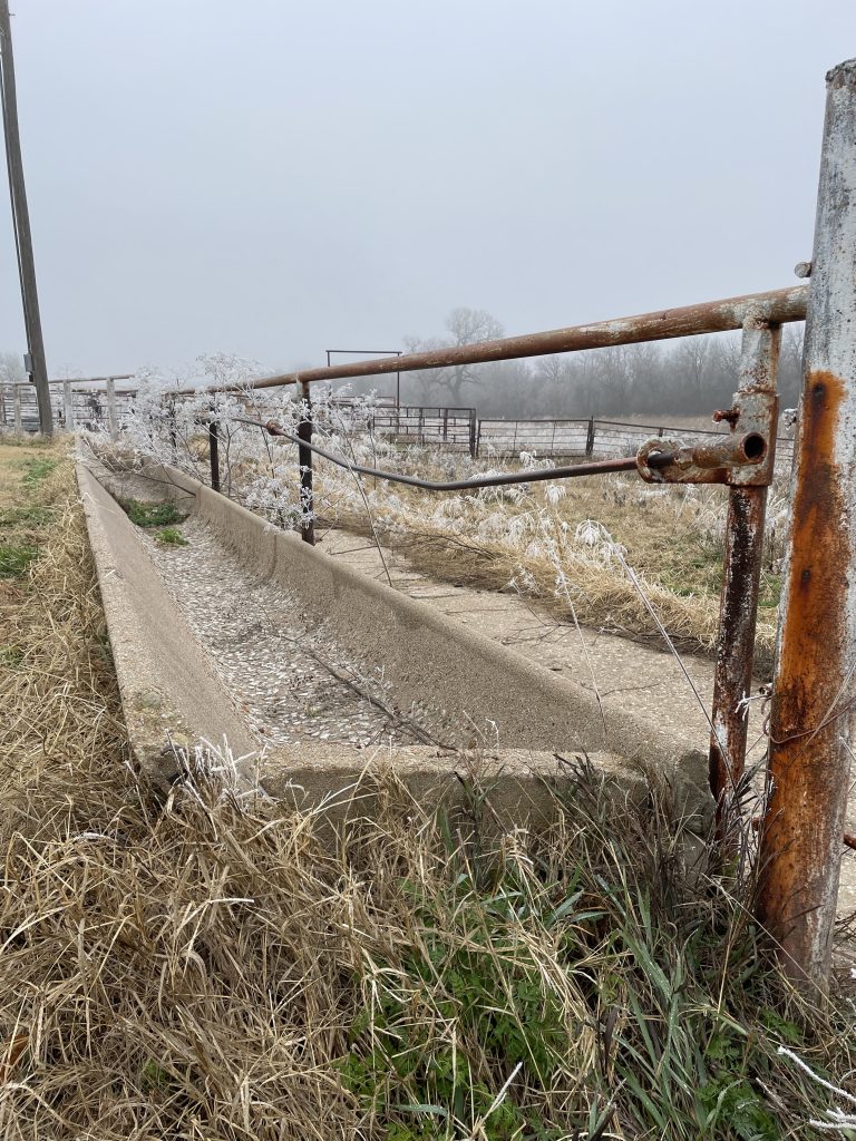 Frost collects on an empty feedbunk. (Journal photo by Jennifer Theurer.)