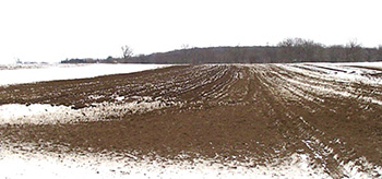 This photo shows appropriate winter application of manure to a field. (Photo courtesy of Iowa State University Extension and Outreach.)