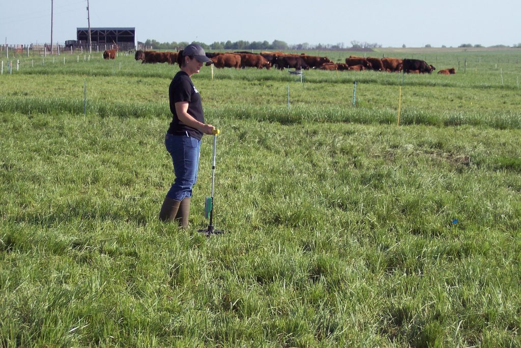 Converting to rotational grazing is one way producers can bulletproof their beef operation in 2024, says University of Missouri Extension agricultural economist Joe Horner. (Photo by Linda Geist.)