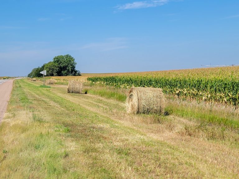 Road ditch hay bales. (Photo by Troy Walz.)