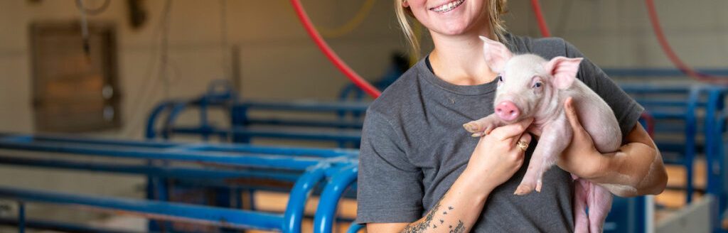 Carlie Rogers found her passion working with pigs in the Texas A&M Swine Center at the O. D. Butler Jr. Animal Science Complex as a student worker. (Texas A&M AgriLife photo by Michael Miller.)