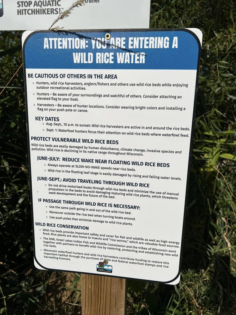 One of the lakes, Dave Dykstra harvests from posts a rules of ricing sign. A growing population and more motorized boats have diminished the amount of wild rice each year. (Courtesy photo.)